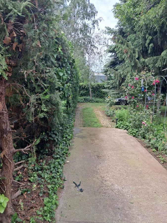 2 Rooms Retro Guesthouse In A Silent Garden Vecsés Dış mekan fotoğraf
