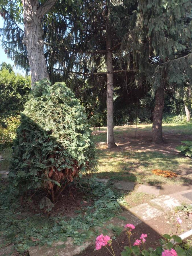 2 Rooms Retro Guesthouse In A Silent Garden Vecsés Dış mekan fotoğraf