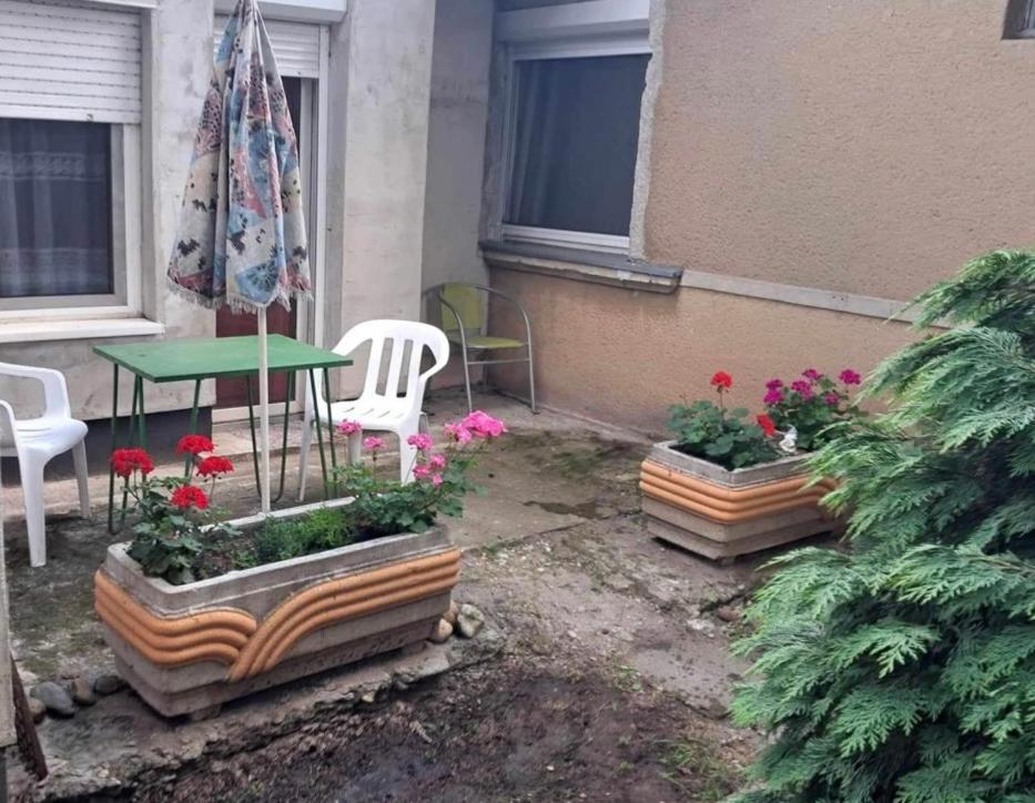 2 Rooms Retro Guesthouse In A Silent Garden Vecsés Dış mekan fotoğraf
